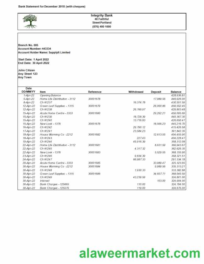 USA Integrity Bank statement Word and PDF template.1